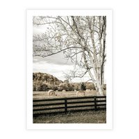 Plakat bez ramy 21x30 - Drzewa i Snopki Siana - farma, drzewa