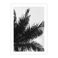 Plakat bez ramy 50x70 - Czas Zapomnienia - palmy, czarno biała fotografia