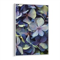 Obraz w ramie 80x120 - Hortensja - delikatność kwiatów - hortensja, kwiaty - rama biała