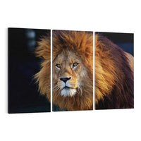 Obraz na płótnie 120x80 - Lew - Król Zwierząt - lew, zwierzęta