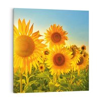 Obraz na płótnie 40x40 - kolorowe promienie - słoneczniki, kwiaty