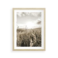 Plakat w ramie 40x50 - Łąka w Klimacie Sepii - suche trawy, łąka - rama drewno