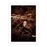 Plakat bez ramy 21x30 - Gałęzie i Liść w Brązowej Tonacji - suche gałęzie, liść