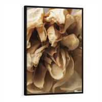 Obraz w ramie 70x100 - Zjawiskowe zasuszone kwiaty - zasuszone, kwiaty - rama czarna