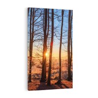 Obraz na płótnie 80x120 - Piękno lasu - las, drzewa