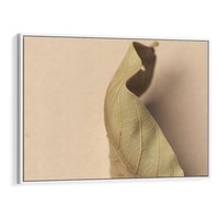 Obraz w ramie 100x70 - Boho suszone liście - suszony, liść - rama biała