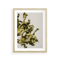 Plakat w ramie 30x40 - Odejście pory deszczowej - suche, trawy - rama drewno