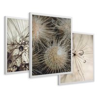 Zestaw obrazy w ramie 50x70 galeria - Dmuchawce, krople, wody, makro - rama biała