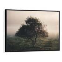 Obraz w ramie 70x50 - Zamglona Prostota - artystyczna fotografia, samotne drzewo na zamglonej łące - rama czarna