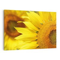 Obraz na płótnie 100x70 - Słoneczniki: Promień nadziei - słoneczniki, kwiaty