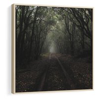 Obraz w ramie 50x50 - Urok Drogi - las, droga - rama drewno