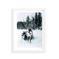 Plakat w ramie 30x40 - Świąteczna Przygoda - renifer, śnieg - rama biała