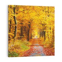 Obraz na płótnie 50x50 - Jesień w lesie - las, drzewa