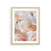 Plakat w ramie 30x40 - Aromatyczna Piękność - płatki herbacianej róży, kwiaty - rama drewno