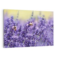 Obraz na płótnie 100x70 - Magia lawendy delikatne kwiaty - lawenda, kwiat