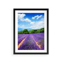 Plakat w ramie 40x50 - Prowansalska Lawenda - lawenda, prowansja - rama czarna