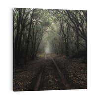 Obraz na płótnie 60x60 - Urok Drogi - las, droga