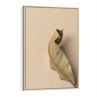 Obraz w ramie 80x120 - Boho suszone liście - suszony, liść - rama drewno