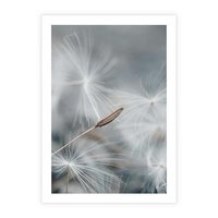 Plakat bez ramy 30x40 - Piękno w Delikatności - dmuchawiec, makro zdjęcie