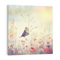 Obraz na płótnie 40x40 - Poranek wśród łąki - ptak, łąka