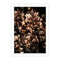 Plakat bez ramy 21x30 - Sucha Kompozycja Kwiatów - suche kwiaty hortensji