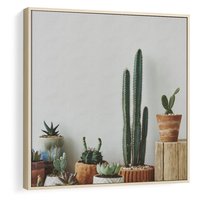Obraz w ramie 50x50 - Naturalna Harmonia - kaktusy, liście - rama drewno