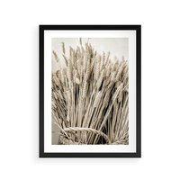 Plakat w ramie 40x50 - Letni Plon - zboże, kłosy zboża - rama czarna