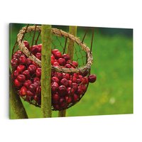 Obraz na płótnie 120x80 - Czereśnie w Koszyku Owocowy Skarb - czereśnie, koszyk
