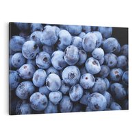 Obraz na płótnie 120x80 - Borówki Leśna Harmonia - borówki, owoce