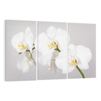 Obraz na płótnie 120x80 - kwiatowy urok - orchidea, kwiat