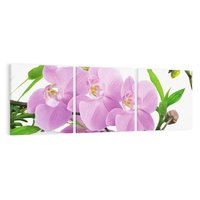 Obraz na płótnie 150x50 - Orchidea w SPA - spa, orchidea