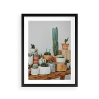 Plakat w ramie 40x50 - Kaktusowa Galeria w Doniczkach - kaktusy w doniczkach, fotografia - rama czarna