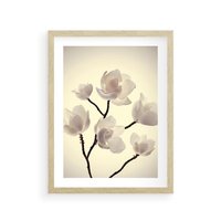 Plakat w ramie 30x40 - Elegancja Natury - magnolia, białe - rama drewno