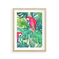 Plakat w ramie 50x70 - Egzotyczna Przygoda - tropikalne, liście - rama drewno