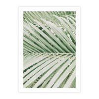 Plakat bez ramy 30x40 - Liście Palmy: Egzotyczna Grafika - palma, liście palmy
