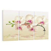 Obraz na płótnie 120x80 - Kwiatowa harmonia w SPA - orchidea, kwiat
