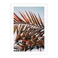 Plakat bez ramy 21x30 - Tropikalna Harmonia - palma, liście palmy