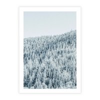 Plakat bez ramy 50x70 - Cicha Zima - las, zima