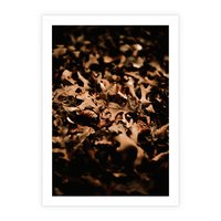 Plakat bez ramy 21x30 - Jesienne Liście: Nostalgiczna Kolorystyka - suche liście, jesień