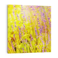 Obraz na płótnie 60x60 - Delikatność natury - lawenda, kwiaty