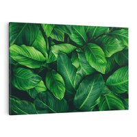 Obraz na płótnie 120x80 - Palma Liście Kwiat - palma, liście