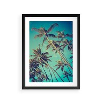 Plakat w ramie 40x50 - Tropikalne palmy w krainie słonecznych wakacji - palmy, tropiki - rama czarna