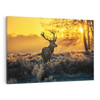 Obraz na płótnie 100x70 - Jesienne Spotkanie w Lesie - jeleń, jesień