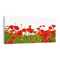 Obraz na płótnie 120x60 - Bujne maki na malowniczej łące - mak, maki