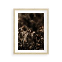 Plakat w ramie 30x40 - Jesienny Urok - suche trawy, jesienny pejzaż - rama drewno