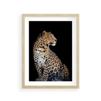 Plakat w ramie 50x70 - Elegancja Jaguarowej Pantery - jaguar, pantera - rama drewno