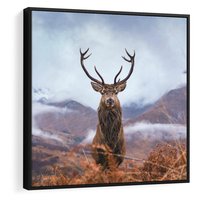 Obraz w ramie 50x50 - Jeleń w Uśpionym Krajobrazie - jeleń na tle gór, ośnieżone góry - rama czarna