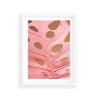 Plakat w ramie 40x50 - Różowa monstera w pełnym rozkwicie - różowa, monstera - rama biała