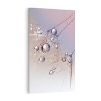 Obraz na płótnie 80x120 - Delikatne Natchnienie - krople, dmuchawce