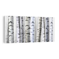 Obraz na płótnie 100x50 - Delikatność brzóz - brzozy, las